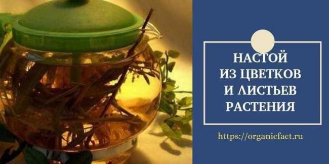 Настойка аралии маньчжурской инструкция по сбору и применению