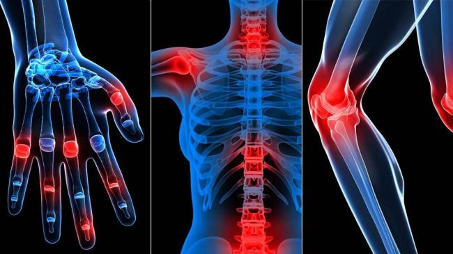 Ветбицин 5