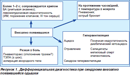 Бронхиальная астма. причины, симптомы, виды, лечение и профилактика астмы