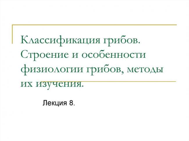 Грибы: классификация, общая характеристика, особенности строения, способы размножения