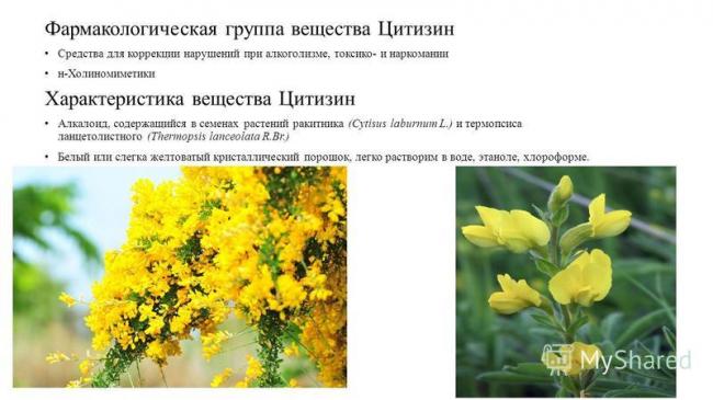 Цитизин - инструкция, отзывы, применение
