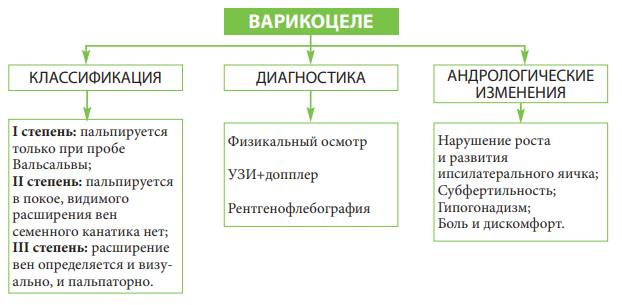 Может ли варикоцеле стать причиной бесплодия