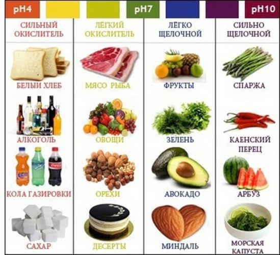 Какие продукты питания считаются щелочными: список, полная таблица