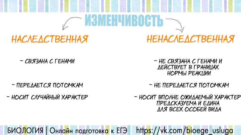 Мутации