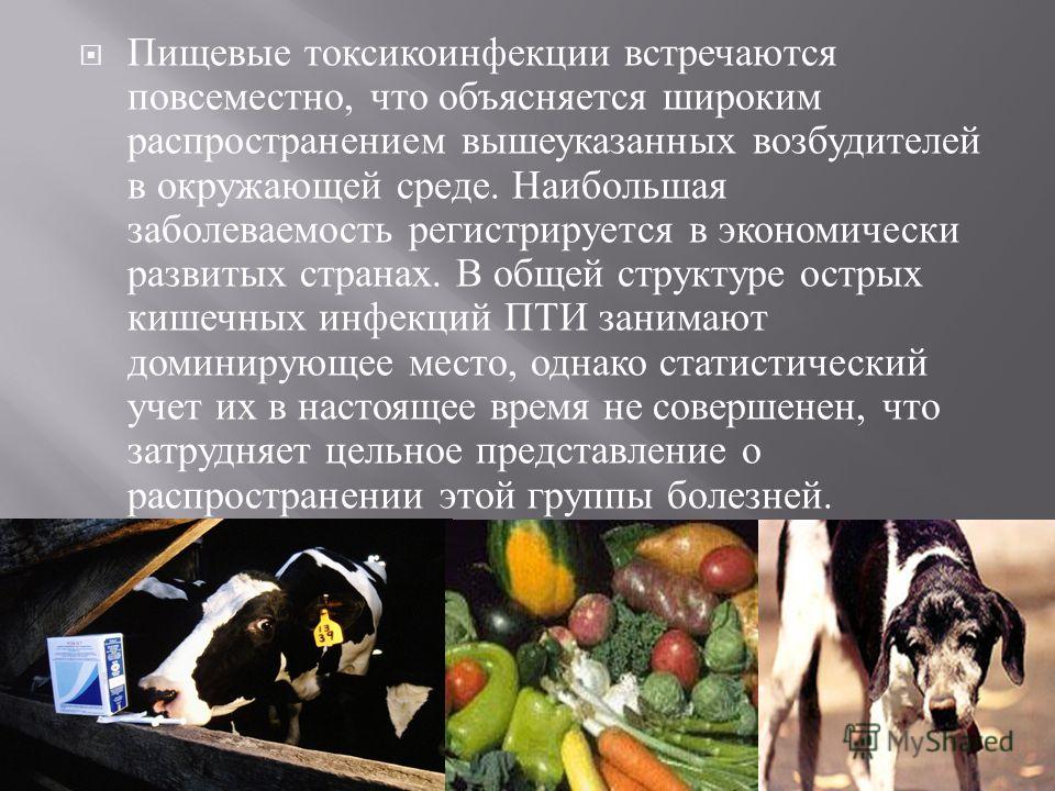 Пищевая токсикоинфекция: что это, симптомы и лечение