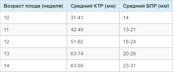 Скрининг 2 триместра: узи и биохимический анализ крови