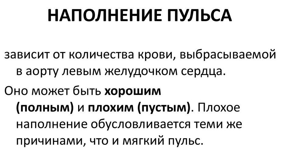 Как называется линия сердцебиения