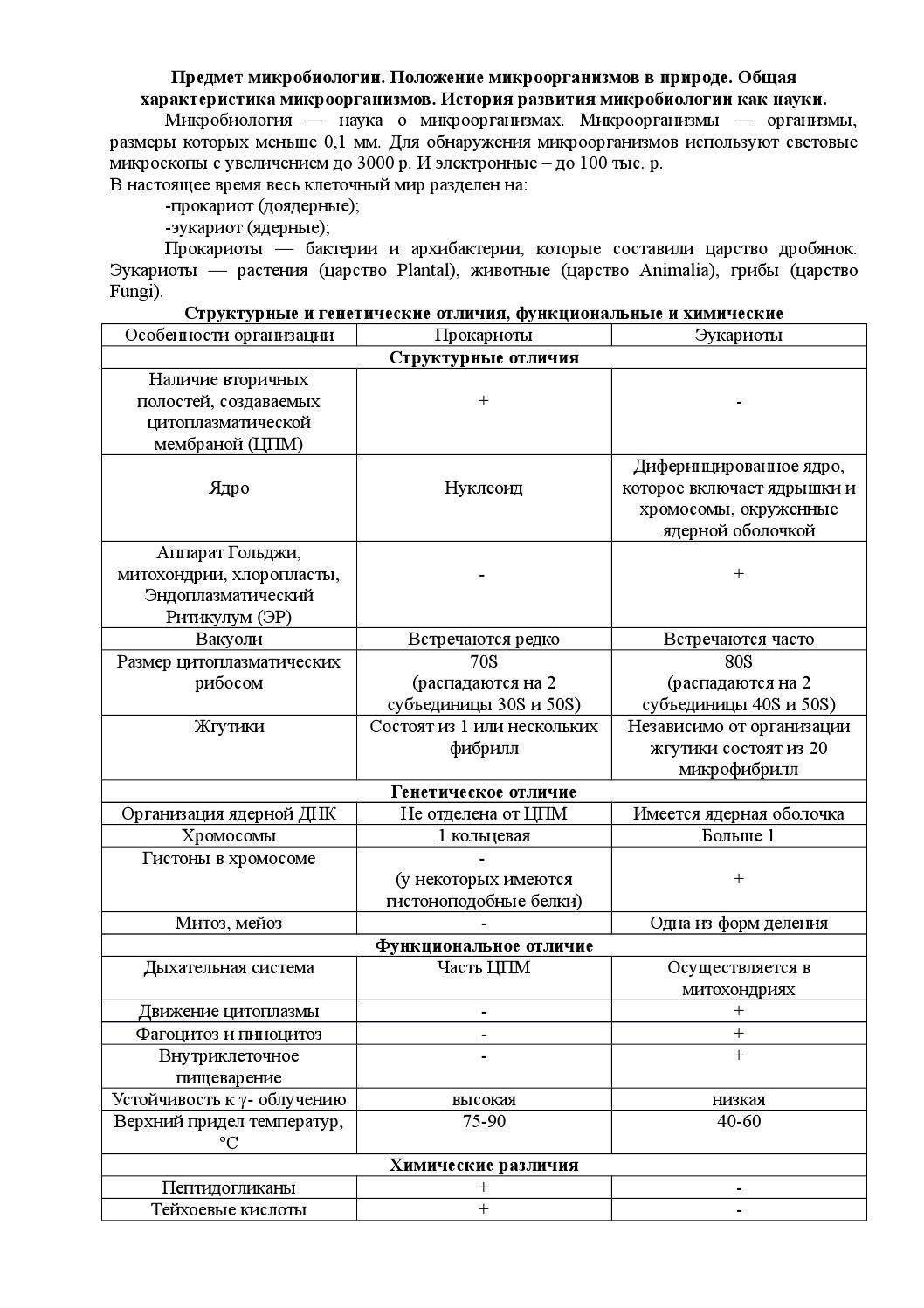 Функции и влияние бактерий на окружающую среду и человека
