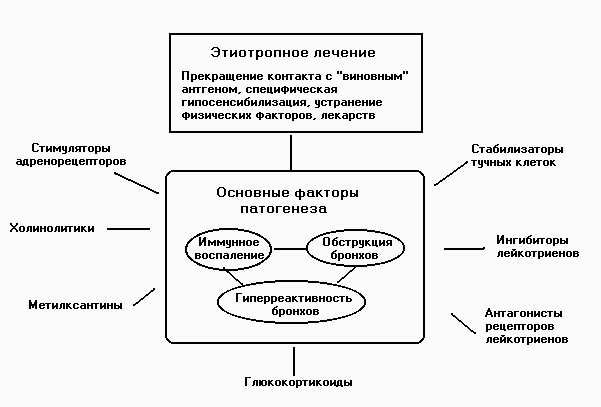Помощь при бронхиальной астме у детей алгоритм