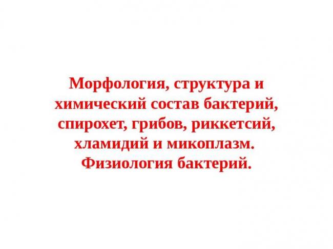 Бактерии – незаметные труженики, без которых невозможна жизнь на земле: каково их значение в природе?