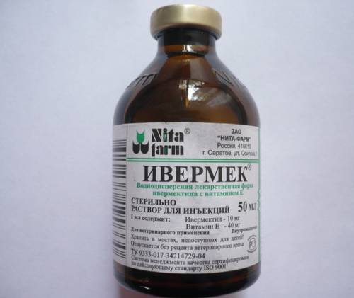Ивермек дозировка, передозировка и инструкция по применению