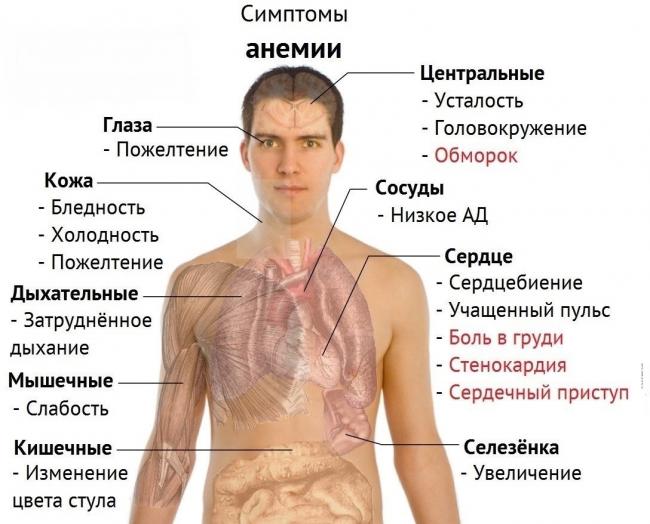 Сорбифер дурулес - инструкция по применению, аналоги, отзывы, цена