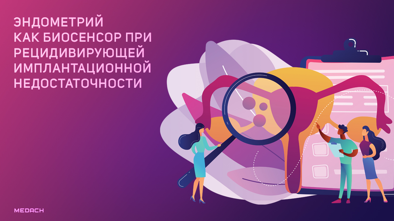 Циклические изменения в слизистой оболочке матки (эндометрии). фаза пролиферации. фаза секреции. менструация.