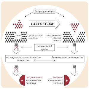 Глутоксим - инструкция по применению, аналоги, отзывы, цена