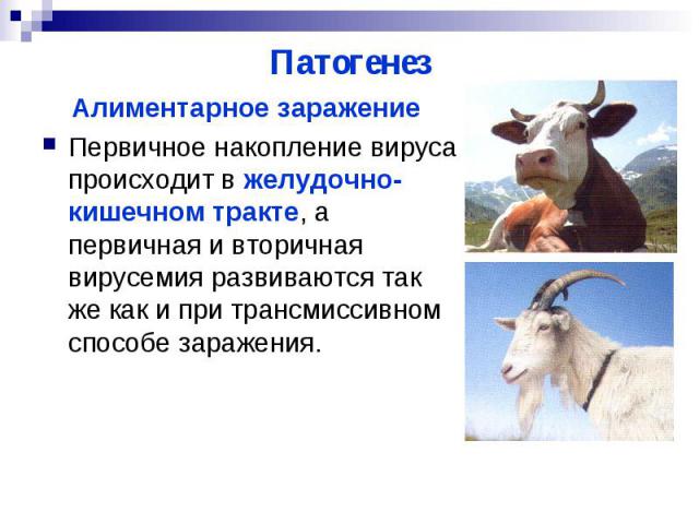 Новые коронавирусы: человечеству придёт конец?
