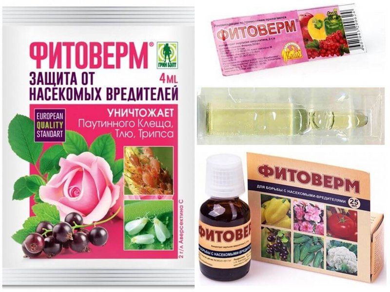 Средство битоксибациллин: правила обработки