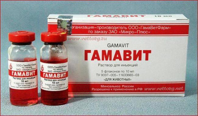 ВИТАМИННО-АМИНОКИСЛОТНЫЙ КОМПЛЕКС ВИТАМ инструкция по применению