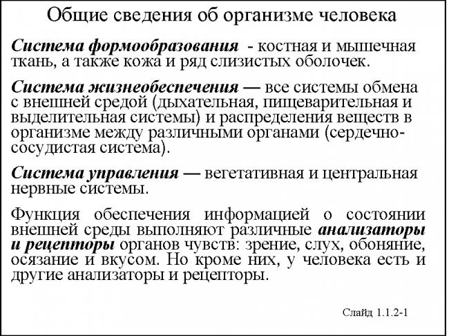 Ритуал-сервис - кто поможет в трудную минуту...