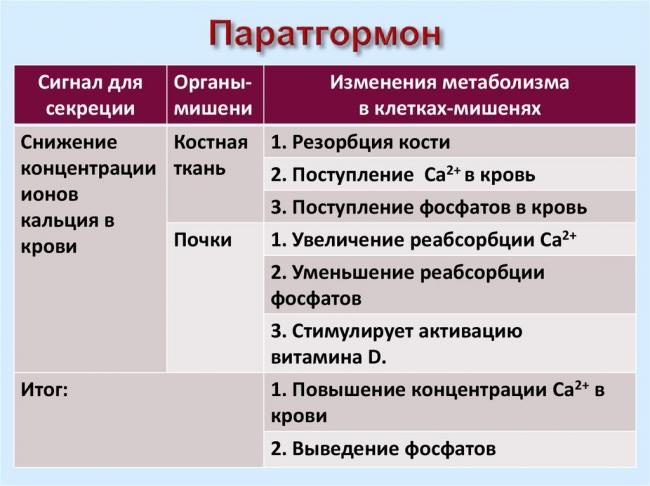 Избыток витамина d ухудшает состояние костей | "путь гармонии"
