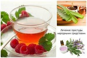 Лечение бронхита народными средствами