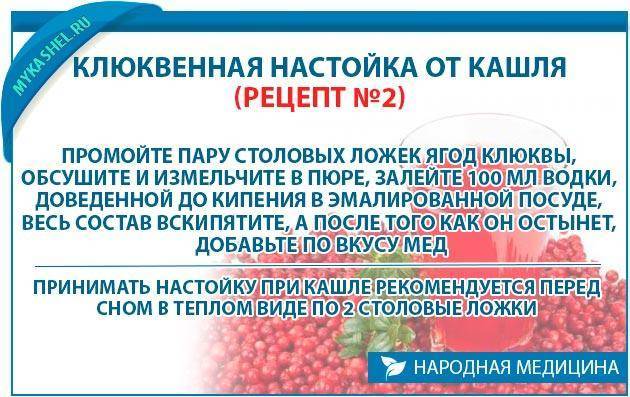 При простуде лучше клюква или брусника