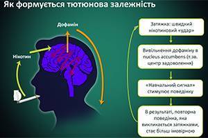 Заболевания легких от курения, симптомы рака легких у курильщиков
