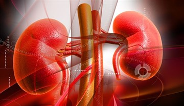 Цефиксим экспресс - инструкция по применению