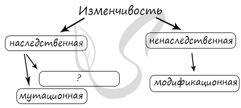 Виды мутаций