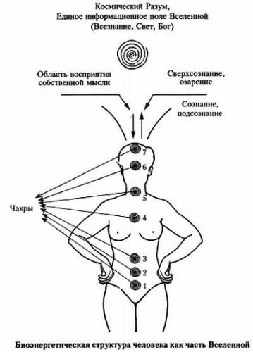 Болит копчик к какому врачу обратиться
