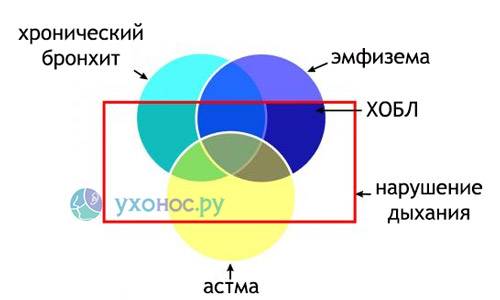 Хобл: классификация по степени тяжести, этиология, патогенез, диагностика, лечение, 2, 4, как долго можно прожить
