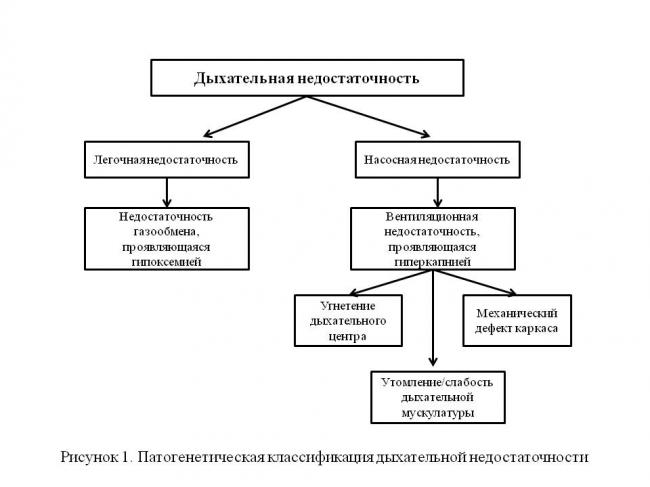 Сколько живут с астмой