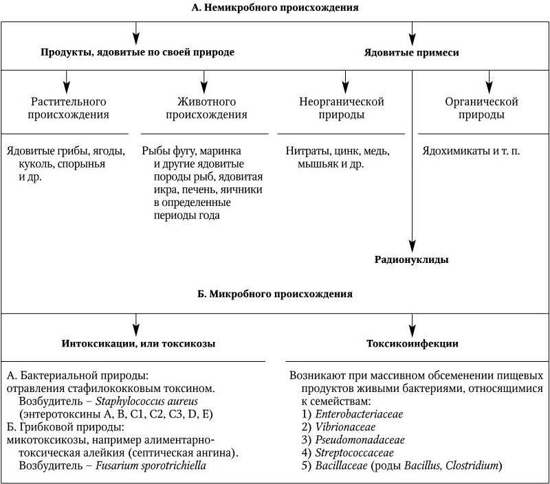Пищевые токсикоинфекции: симптомы и лечение