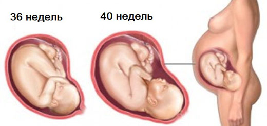Девятый месяц – долгожданный