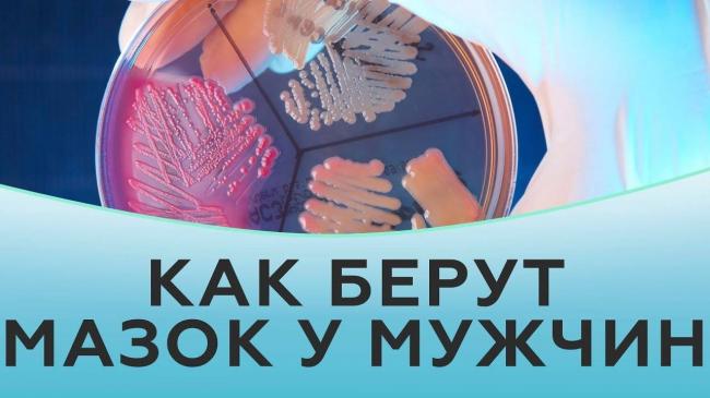 Какова норма содержания бактерий в организме здорового человека