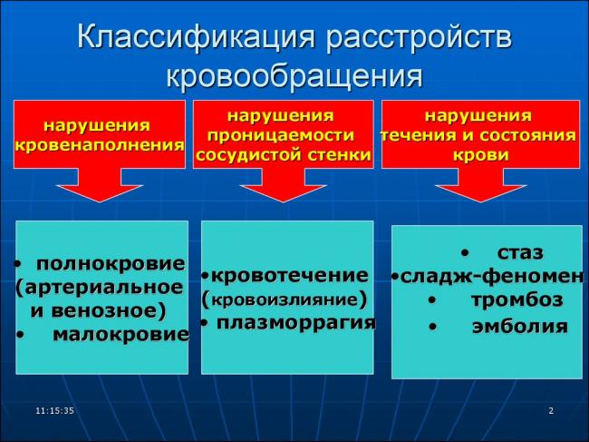 Периферическое кровообращение: значимость, анатомия, патология, лечение нарушений