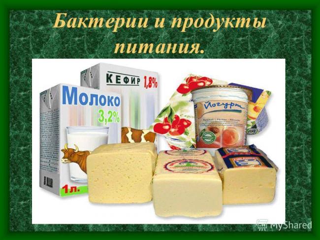 Урок биологии в 6 классе "распространение бактерий. значение бактерий в природе и жизни человека"
