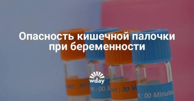 Анализ кала на бактерии