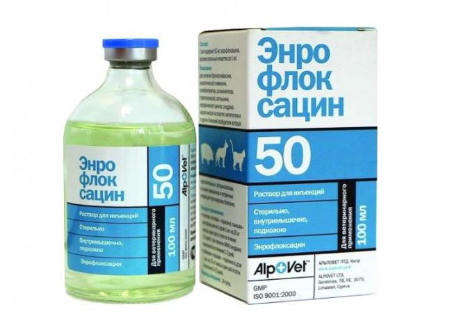 Ронколейкин: инструкция по применению, аналоги, цена, отзывы