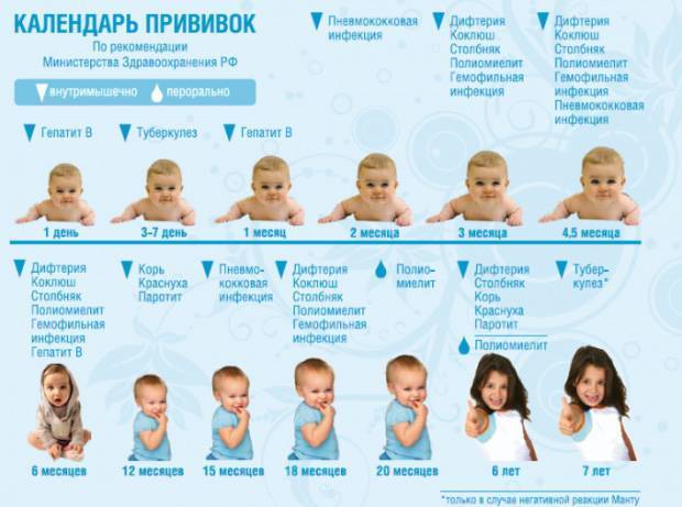 Подробно о вакцинации детей и взрослых от дифтерии: куда делают прививку и как называются вакцины?