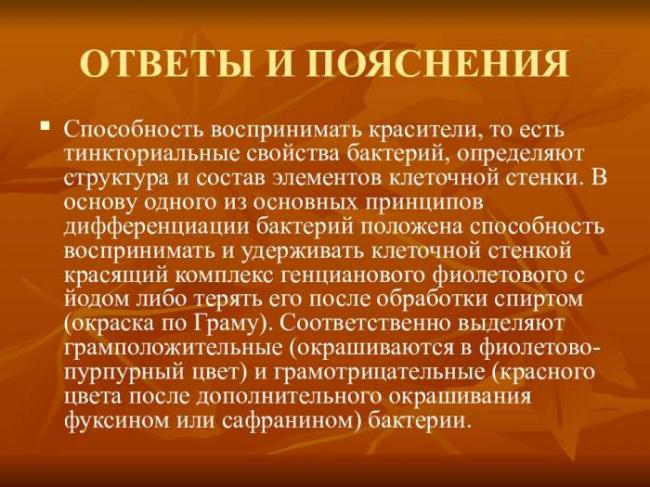 Тинкториальные свойства бактерий и их использование при микроскопировании