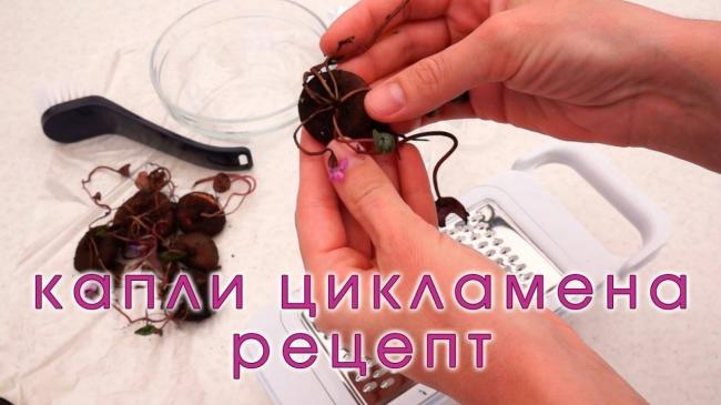 Инструкция по применению капель и спрея в нос на основе корня цикламена для лечения гайморита