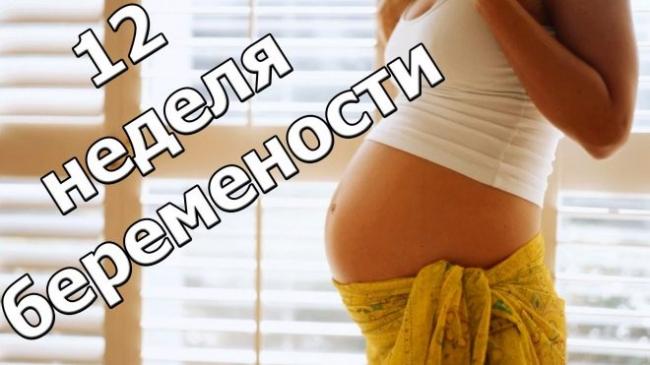 Скрининг первого триместра: расшифровка
