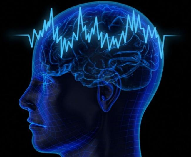 Для чего нужен пантогам? инструкция по применению, цена и отзывы