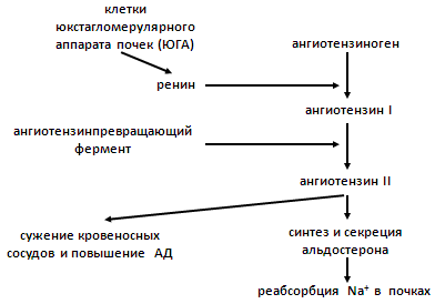 Кровяное давление - blood pressure