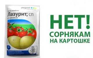 Лазурит от сорняков - особенности применение на приусадебном участке