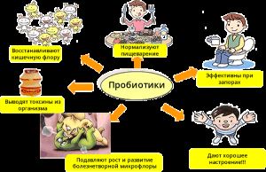 Как человек использует бактерии в практической деятельности. промышленное использование микроорганизмов