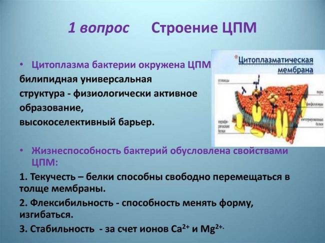 Биология и медицина