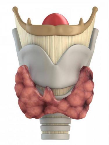 Тирозол Thyrozol инструкция по применению