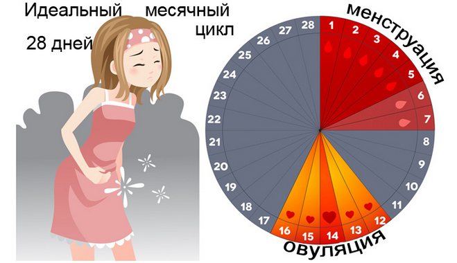 Как восстановить цикл месячных