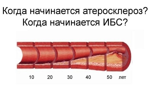 Механизм действия саксаглиптина на организм при сахарном диабете